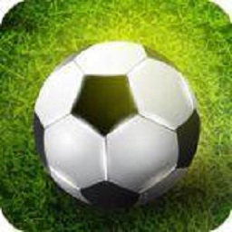 国产精品你懂的3d手游下载安装-国产精品你懂的3d最新版本(Football Strike Simulation 3D)下载 v1.1.6 安卓版